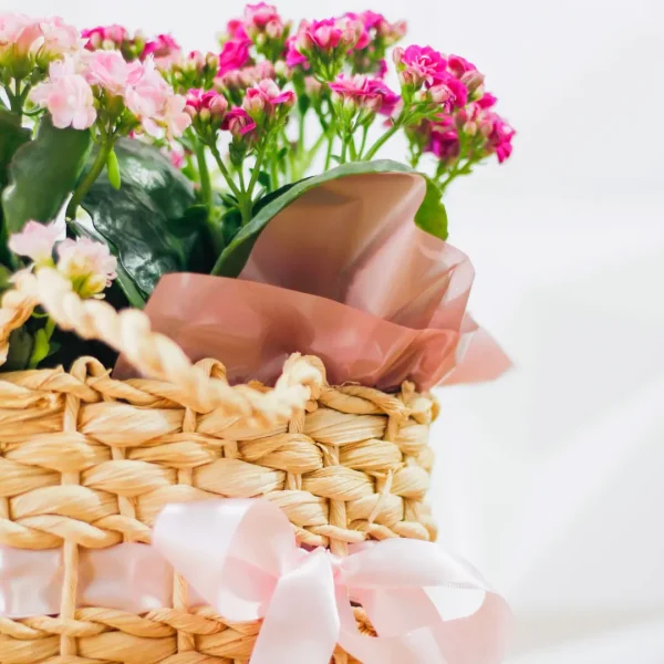 presente com flores