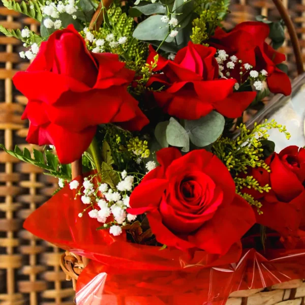 floricultura, rosas vermelhas