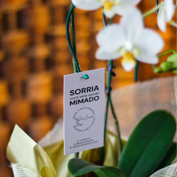 Floricultura em Florianopolis