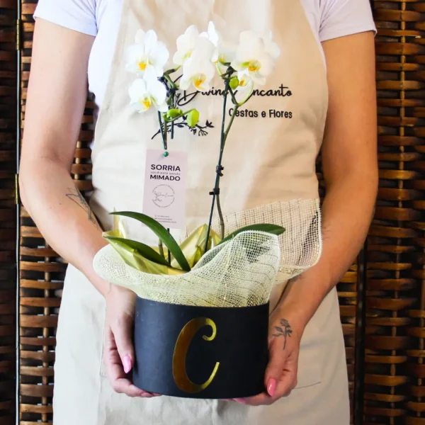 Box com Orquídea -9801