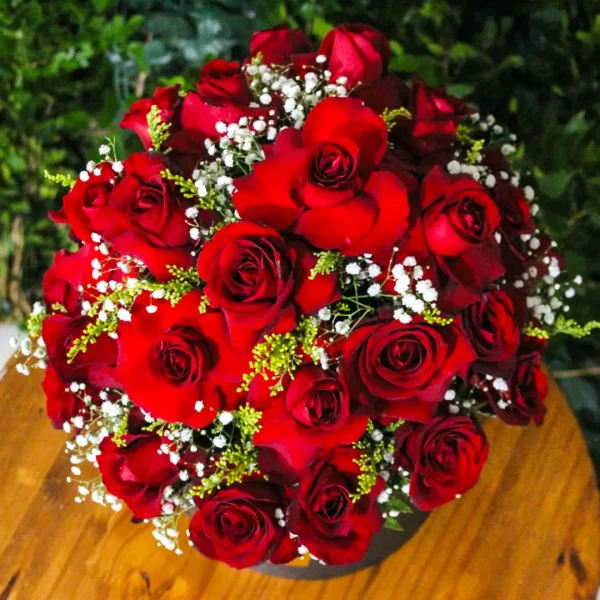 rosas vermelhas, rosas