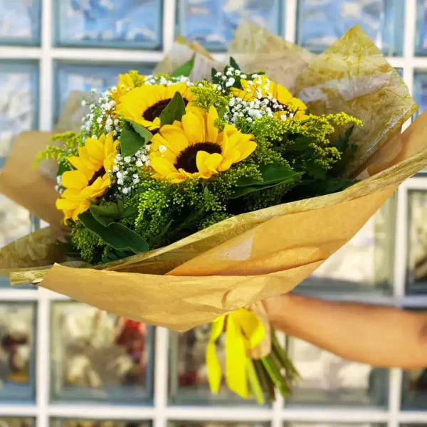 floricultura, girassol